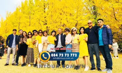 Tour du lịch Hàn Quốc Đảo Jeju 4 Ngày 3 Đêm