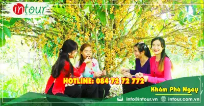 Tour Du Lịch Tiền Giang Cần Thơ 2 Ngày 1 Đêm: Tứ Cồn - Cù Lao Thái Sơn - Du Lịch Mỹ Khánh