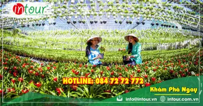 Tour Du Lịch Bến Tre 1 Ngày: Cái Mơn - Chợ Lạch