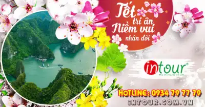 Du Lịch Tết 2026: Tour Hạ Long 2 Ngày 1 Đêm