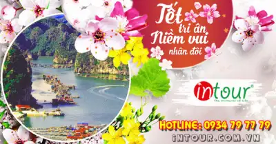 Du Lịch Tết 2026: Tour Cát Bà 2 Ngày 1 Đêm