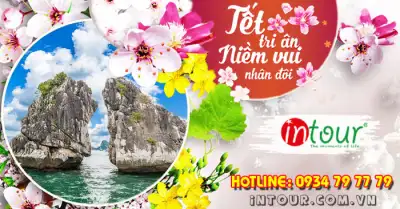 Du Lịch Tết 2026: Tour Hạ Long 4 Ngày 3 Đêm - Ngủ 1 Đêm Du Thuyền
