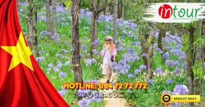 Du Lịch Lễ 30/4/2026: Tour Nha Trang - Đà Lạt 5 Ngày 4 Đêm