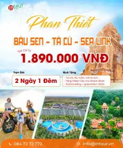 Tour du lịch Phan Thiết Mũi Né 2 Ngày 1 Đêm | Tour Phan Thiết Trọn Gói Năm 2025