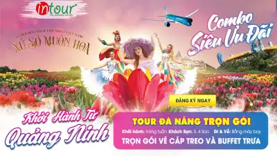 Tour Quảng Ninh Đà Nẵng Trọn Gói 2025
