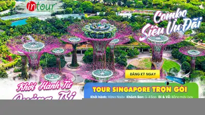 Tour Quảng Trị Singapore Trọn Gói Năm 2025