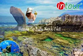 Tour Ngoại Khóa Du Lịch Đà Lạt 3 Ngày 2 Đêm