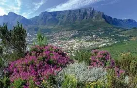 Tour du lịch Châu Phi (8 ngày 7 đêm) - Giá tốt nhất VN