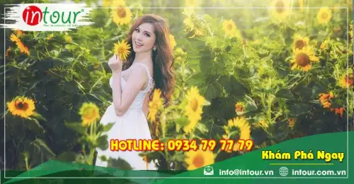 Tour Du Lịch Hà Nội Nha Trang Đà Lạt 4 Ngày 3 Đêm Bằng Máy Bay