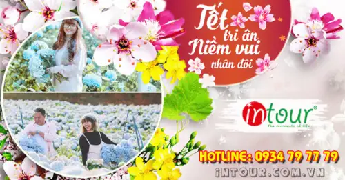 Du Lịch Tết 2026: Tour Đà Lạt 3 ngày 3 đêm