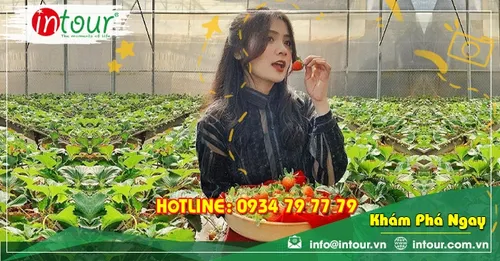 Tour Bình Phước Đà Lạt 3 ngày 3 đêm Trọn Gói Năm 2026