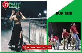 Tour Du Lịch Vũng Tàu 2 Ngày 2 Đêm Kết Hợp Team Building - Gala Dinner 2026