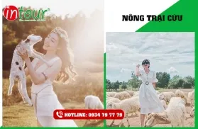 Tour Du Lịch Nghĩ Dưỡng Bình Châu Long Hải 2 Ngày 1 Đêm