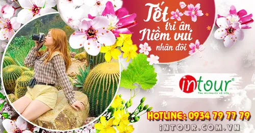 Du Lịch Tết 2026: Tour Phan Thiết Nha Trang Đà Lạt 6 Ngày 5 Đêm
