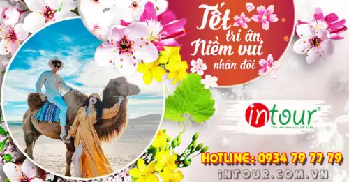 Du Lịch Tết 2026: Tour Phan Thiết 3 Ngày 2 Đêm