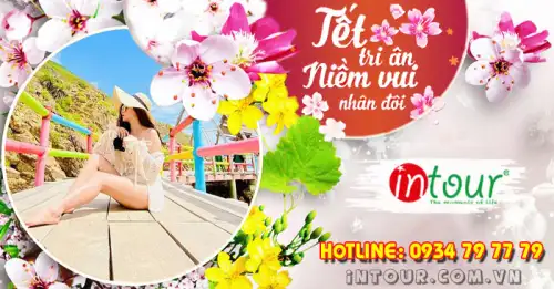 Du Lịch Tết 2026: Tour Quy Nhơn Phú Yên 3 Ngày 3 Đêm