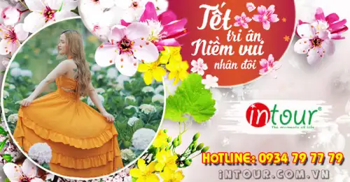 Du Lịch Tết 2026: Tour Đà Lạt 3 Ngày 2 Đêm