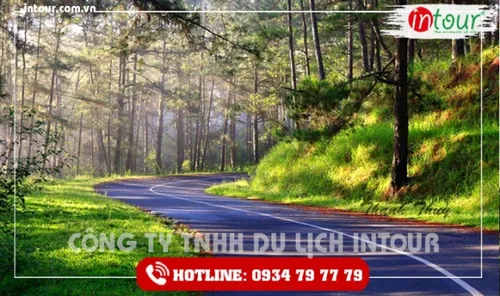 Cung Đường Đèo Đi Đà Lạt: Prenn, Mimosa, Bảo Lộc, Khánh Vĩnh, Sông Pha Và Kinh Nghiệm Đi An Toàn