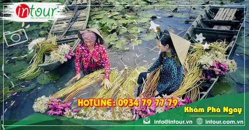 Mùa Nước Nổi Miền Tây Nên Đi Đâu Đẹp Và Dễ Đi? | INTOUR
