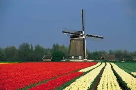 Tour du lịch 5 nước Châu Âu (Pháp - Bỉ - Hà Lan - Đức - Ý )