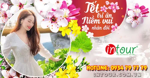 Du Lịch Tết 2026: Tour Đà Nẵng - Sơn Trà - Ngũ Hành Sơn - Hội An - Bà Nà - Cù Lao Chàm 4 Ngày 3 Đêm