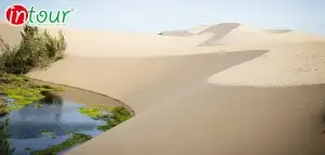 Tour Bến Tre Phan Thiết - Mũi Né 2 Ngày 1 Đêm Trọn Gói Năm 2025