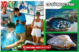 Tour Long Hải Khởi Hành Từ Sóc Trăng Trọn Gói Cho Công Ty, Gia Đình