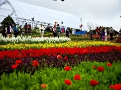 Du Lịch Tết 2026: Tour Đà Nẵng - Huế - Động Thiên Đường 4 Ngày 3 Đêm