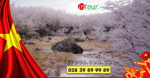 Du Lịch Lễ 30/4/2026: Tour Hàn Quốc Seoul - Everland 4 Ngày 4 Đêm