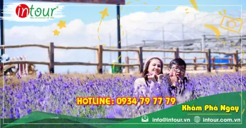 Tour Hà Tiên Phan Thiết - Đà Lạt 4 ngày 4 đêm Trọn Gói Năm 2025