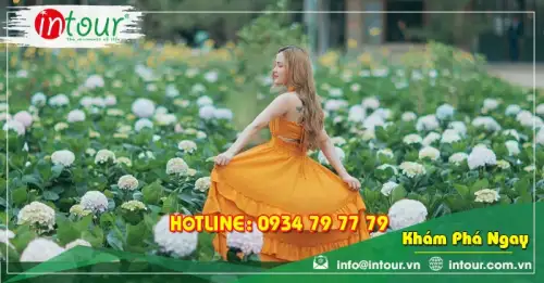 Tour An Giang Phan Thiết - Đà Lạt 4 Ngày 4 Đêm Trọn Gói Năm 2025