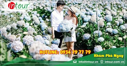 Tour Đà Lạt Khởi Hành Từ Kiên Giang Trọn Gói Cho Công Ty, Gia Đình