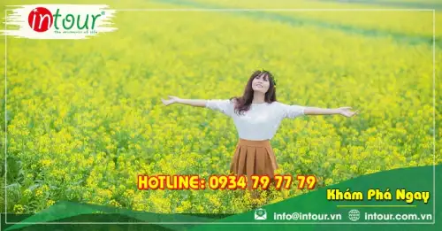 Tour Vĩnh Long Nha Trang - Đà Lạt 4 Ngày 4 Đêm Trọn Gói Năm 2025