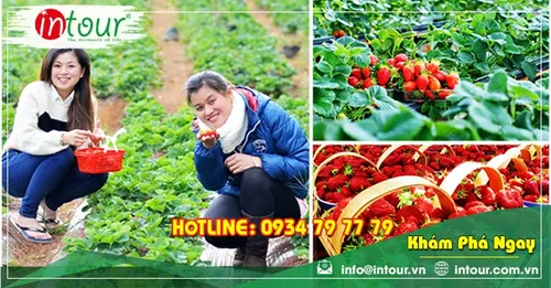 Tour Cần Thơ Nha Trang - Đà Lạt 4 Ngày 4 Đêm Trọn Gói Năm 2026