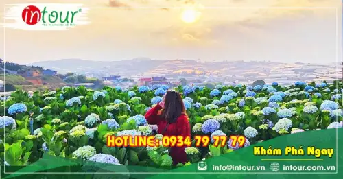 Tour Cần Thơ Đà Lạt 3 Ngày 3 Đêm Trọn Gói Năm 2025