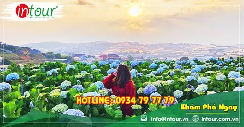 Tour Cần Thơ Đà Lạt 3 Ngày 3 Đêm Trọn Gói Năm 2026