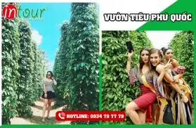 Tour Đồng Tháp Phú Quốc bằng xe + Tàu 3 ngày 3 đêm Trọn Gói Năm 2025