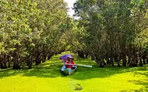 Tour Hải Phòng Miền Tây 3 Ngày 2 Đêm: Cần Thơ - Châu Đốc - Rừng Tràm Trà Sư Trọn Gói Năm 2025