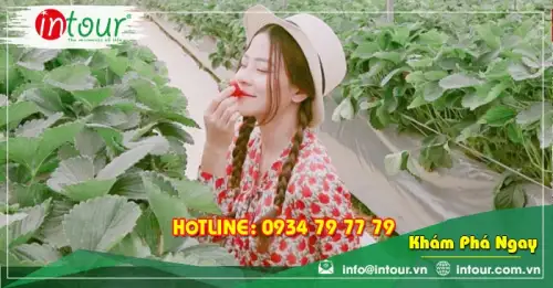 Tour Bắc Giang Đà Lạt 3 Ngày 2 Đêm Bằng Máy Bay Trọn Gói Năm 2025