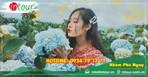 Tour Quảng Ninh Đà Lạt 3 ngày 2 đêm Trọn Gói Năm 2025