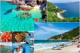 Tour Đà Lạt Đảo Bình Ba 2 Ngày 1 Đêm Trọn Gói Năm 2026