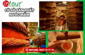 Tour Trà Vinh Phú Quốc 3 ngày 2 đêm Trọn Gói Năm 2025