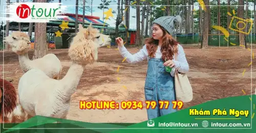 Tour Kiên Giang Đà Lạt 3 ngày 3 đêm Trọn Gói Năm 2025