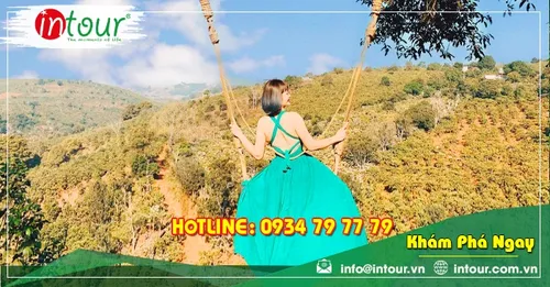 Tour Đà Lạt Miền Tây 3 Ngày 2 Đêm: Cần Thơ - Châu Đốc - Rừng Tràm Trà Sư Trọn Gói Năm 2026