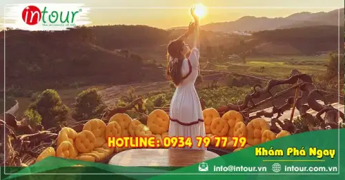 Tour Đà Lạt Côn Đảo 3 Ngày 2 Đêm Bằng Máy Bay Trọn Gói Năm 2025