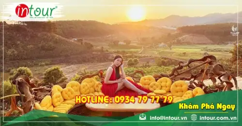 Tour Đà Lạt Quảng Bình Quảng Trị Huế 4 Ngày 3 Đêm Trọn Gói Năm 2025