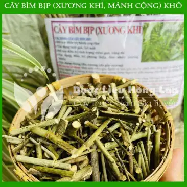 Mua bán Cây Bìm Bịp (Cây Xương Khỉ) khô giá rẻ - Chuyên sỉ và lẻ uy tín toàn quốc