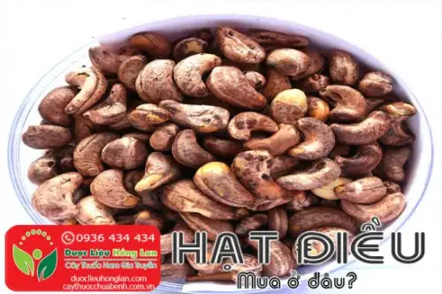 Nhà phân phối bán sỉ và lẻ Hạt Điều rang muối Bình Phước tại Tp. Hồ Chí Minh (Sài Gòn)