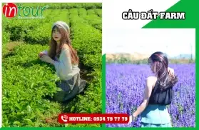 Tour Du Lịch JP World Dome Theater