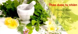 Bán sỉ và lẻ Dược liệu Cây Thuốc Nam Chữa bệnh tại Sóc Trăng